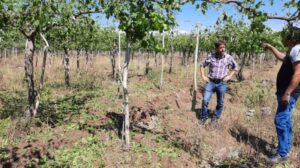 Lee más sobre el artículo El Ministerio de Producción releva daños por una nueva contingencia climática