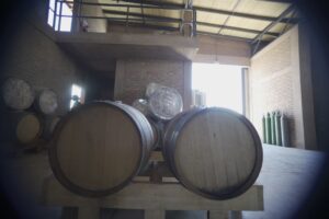 Lee más sobre el artículo VINOS DE ALTURA