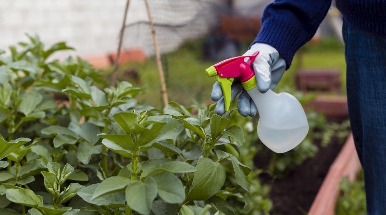 En este momento estás viendo 5 tips para usar vinagre en la huerta y el jardín