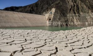 Lee más sobre el artículo El plan contra la sequía no deje a San Juan sin verduras en invierno