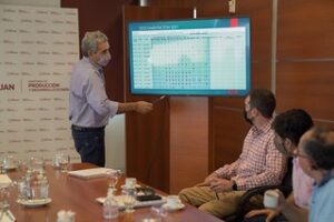 Lee más sobre el artículo Plan de acción Vitivinícolas a corto y mediano plazo