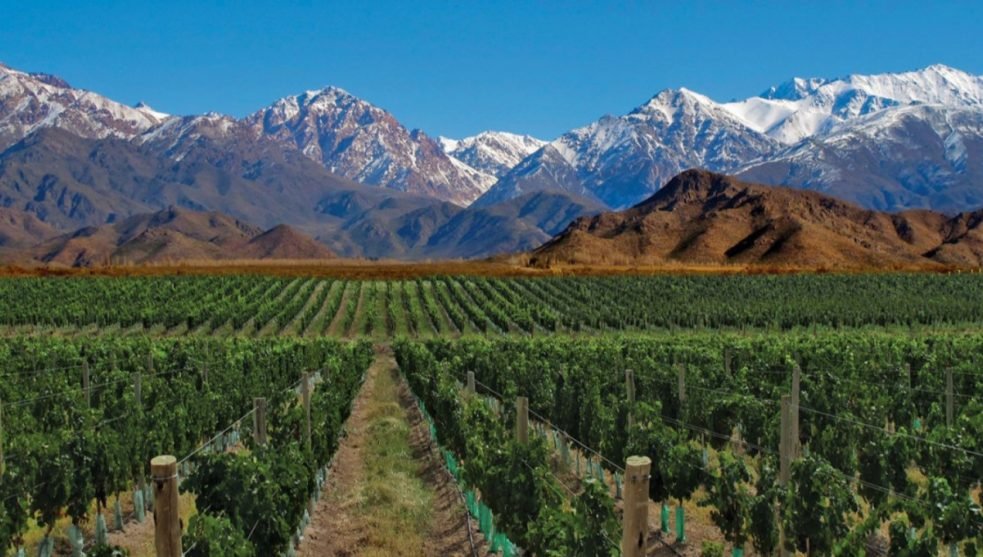 En este momento estás viendo como hacer para inscribirte a los créditos vitícolas