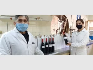 Lee más sobre el artículo Argentina y su papel protagónico en el desarrollo científico-técnico de la vitivinicultura gracias al “vino patrón”.
