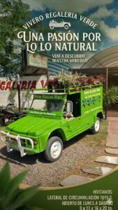 Lee más sobre el artículo Vivero regaleria verde