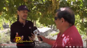 Lee más sobre el artículo Produciendo 19 de Febrero de 2022 Programa completo