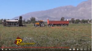 Lee más sobre el artículo Produciendo 29 de Enero de 2022 Programa Completo