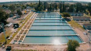 Lee más sobre el artículo la reflexión en tiempos de crisis hídrica