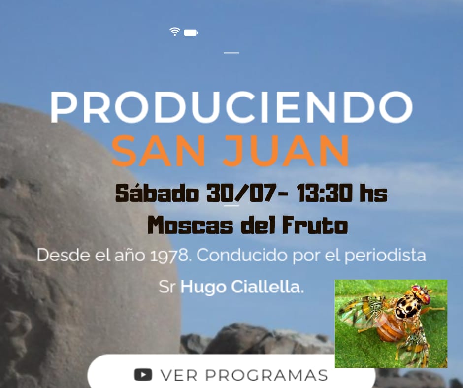 Lee más sobre el artículo PRODUCIENDO: SABADO 30 DE JULIO A LAS 13:30 HS