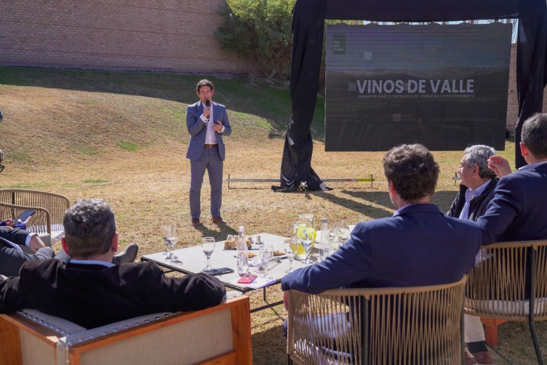Lee más sobre el artículo Vino de Valle: la campaña que busca posicionar y distinguir a los vinos sanjuaninos