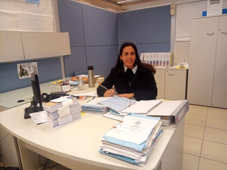 En este momento estás viendo El 25 de septiembre vence el plazo de Consulta Pública del Proyecto Los Azules