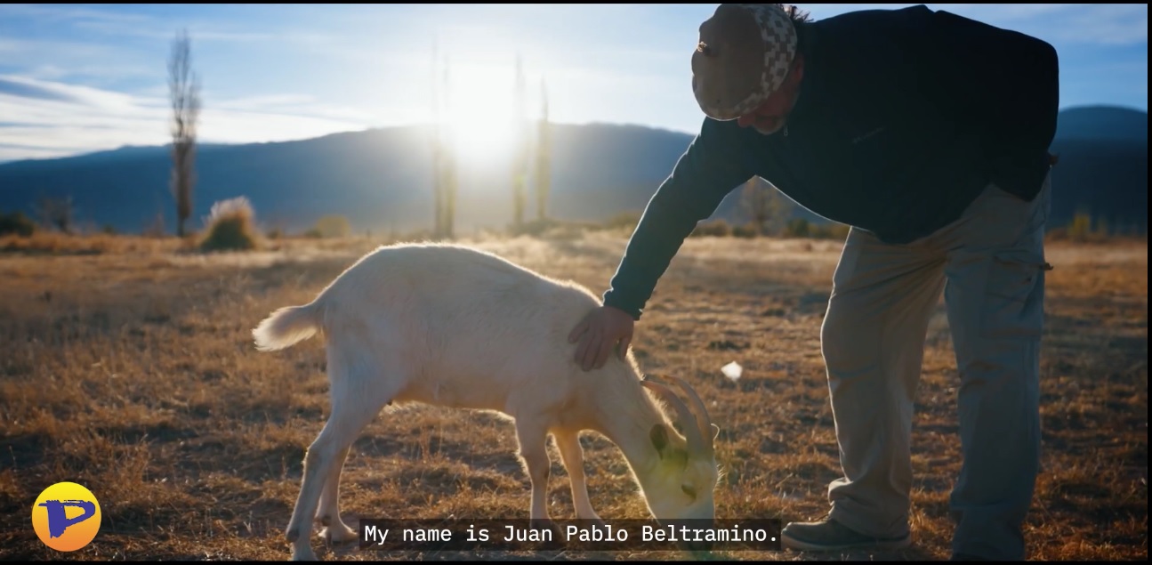 Lee más sobre el artículo 🧀#QuesodeCabra 🐐en Barreal🌄