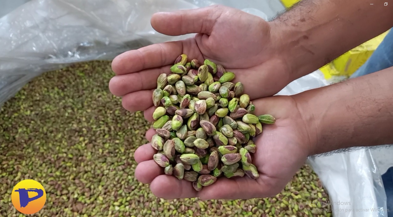 En este momento estás viendo Pistacho: La inversión que está transformando el campo sanjuanino.
