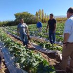 «La persistencia es un reflejo»: El milagro verde en Las Lomitas tras perderlo todo por las lluvias