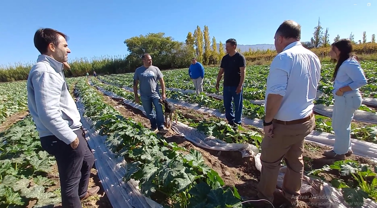 En este momento estás viendo «La persistencia es un reflejo»: El milagro verde en Las Lomitas tras perderlo todo por las lluvias